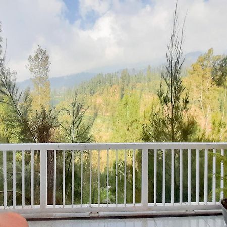 Delvia Bromo Homestay Mitra Reddoorz 岩望 外观 照片