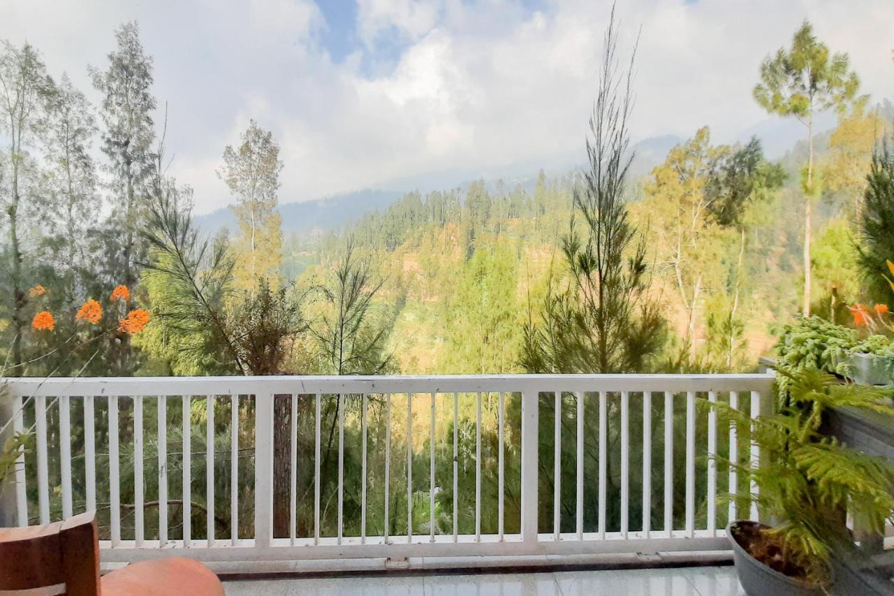 Delvia Bromo Homestay Mitra Reddoorz 岩望 外观 照片
